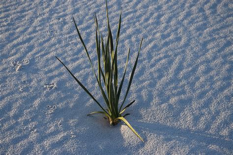 Shattered Hopes And Dreams - My Quiet Meditation