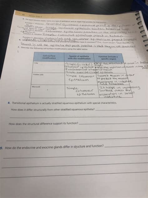 Solved Review Sheet 6 S For Each Function Listed Name One Chegg