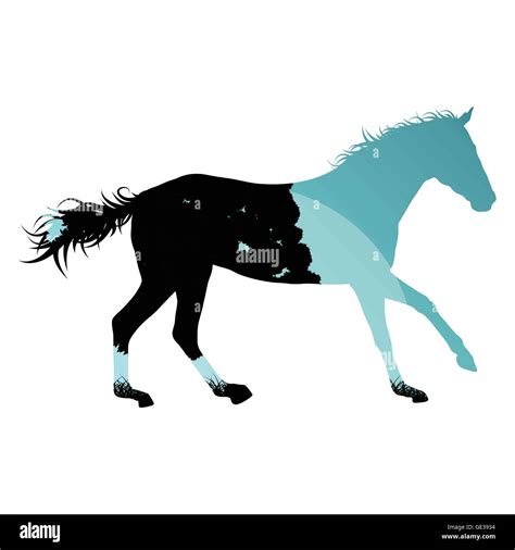 Wild Horse Silhouette High Resolution Stock Photography and Images - Alamy