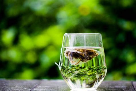 Beneficios Del Té Verde Ecológico Descubre Sus Propiedades Eco360