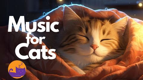 Cozy Cat Music Extremely Soothing Lullabies For Cats Youtube