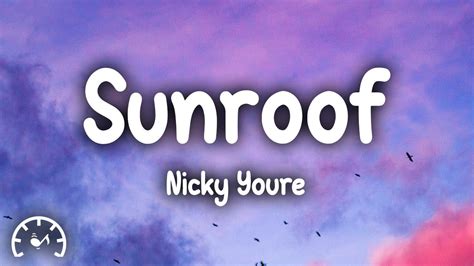 Nicky Youre Sunroof Lyrics Youtube