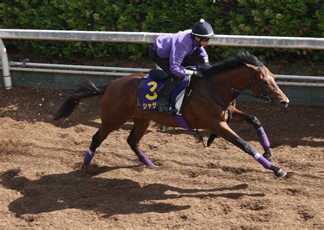 【日本ダービー】シャザーンはサラッと最後のスパイス 友道師も満足げ― スポニチ Sponichi Annex ギャンブル