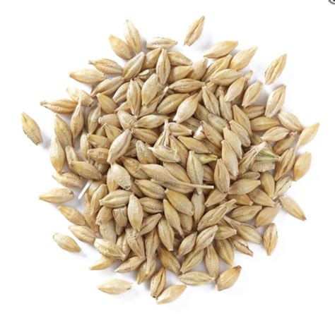 Barley Grain Png Download Image Png All