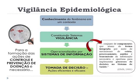 Vigil Ncia Epidemiol Gica