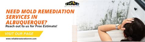 What Is Mold Remediation The Ultimate Guide For Reliable