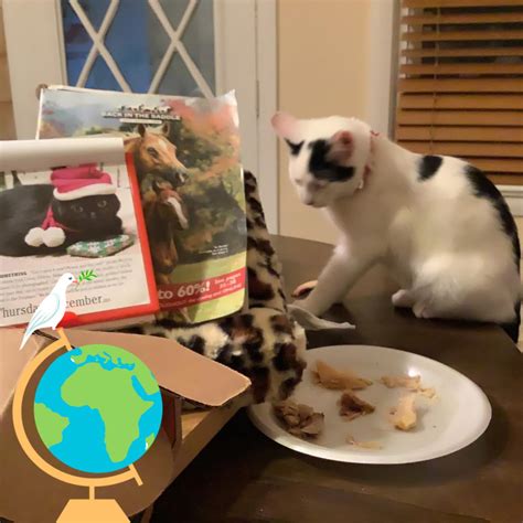 Snoopy - Hump day | Facebook