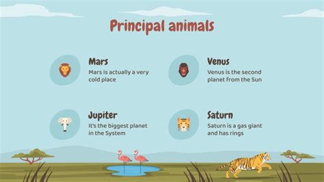 Science Subject For Elementary Savannah Biome Ecosystem