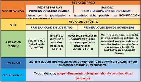 Derechos Laborales De Los Trabajadores Del Régimen De La Actividad Privada Dl 728 Juris Pe