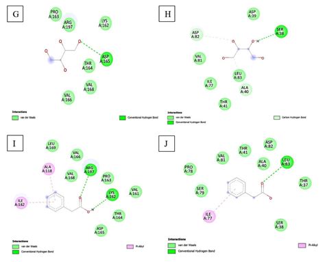 Interaction Of A SrtA 1 3 4 5 Tetrahydroxy Cyclohexanecarboxylic