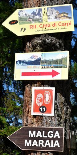 Escursione Misurina Col De Varda Rif Citta Di Carpi Malga Maraia