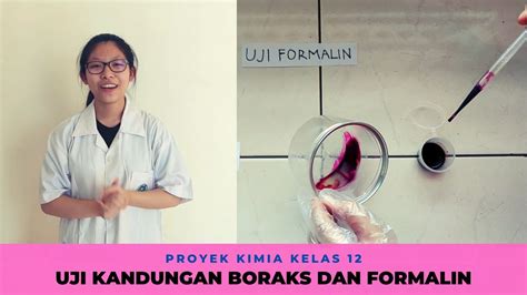 Uji Kandungan Boraks Dan Formalin Pada Sampel Makanan Ujian Praktik