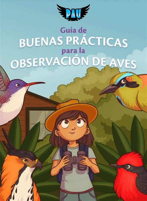 Crean guía de buenas prácticas para la observación de aves Revuelta