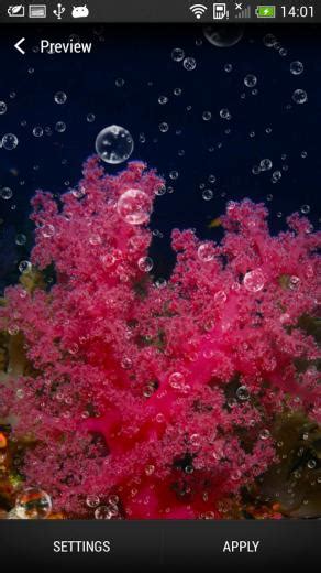 🔥 [50+] Coral Reef Live Wallpapers | WallpaperSafari