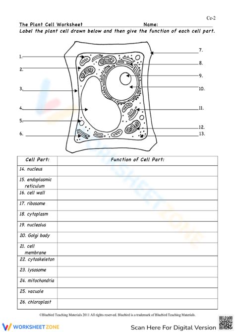 Label A Plant Cell Diagram Worksheet Teach Starter Worksheets Library