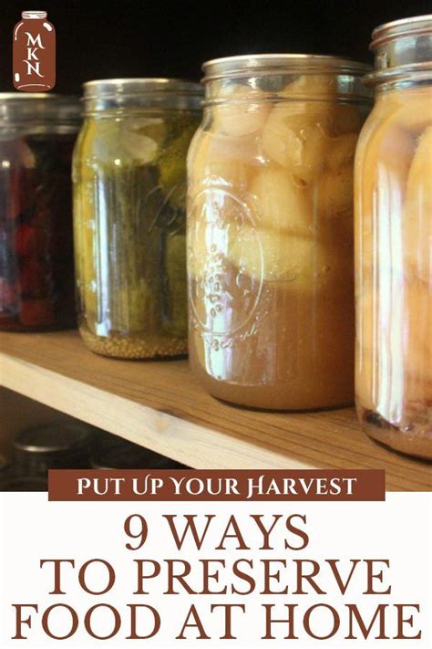 9 Ways To Preserve Food At Home Preserving Food Canning Recipes