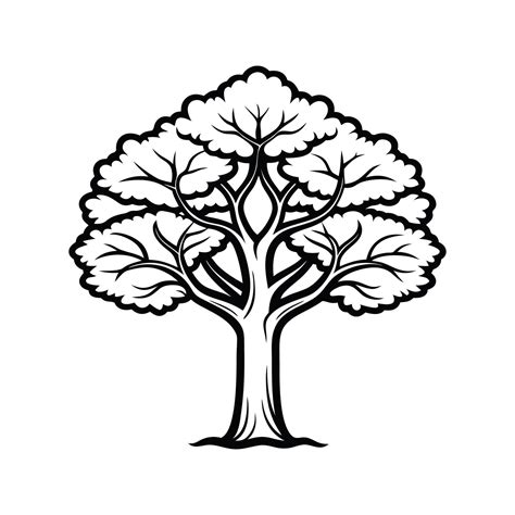 Distinct Swamp Tupelo Tree Outline Art 57696540 Vector Art at Vecteezy