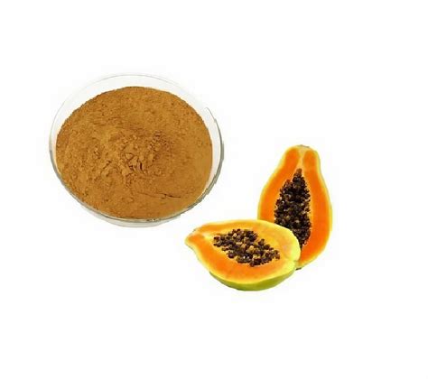 Papaya Extract Packaging Size Kg Kg Kg Packaging Type