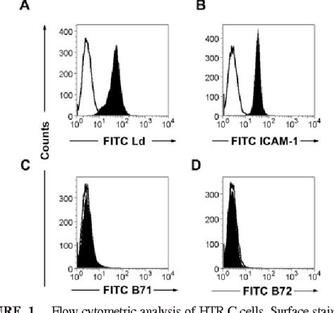 Figure 1 From T Cell Mediated Tumor Rejection In Vivo For Tumor