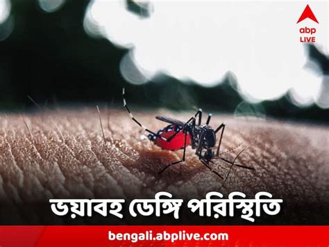 Bangladesh Fears Record High Death Toll From Dengue Outbreak Dengue Death মৃতের সংখ্যা দুশো