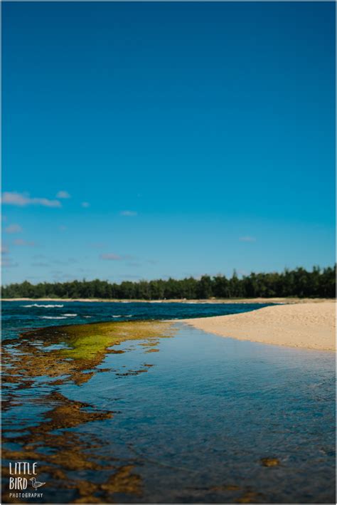 Turtle Bay for a fun Day | North Shore Beaches Oahu