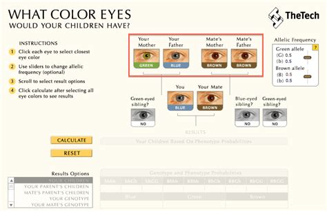 Punnett Square Calculator Eye Color
