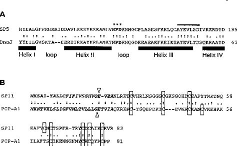 Figure From Genomic Organization Of The S Locus Identification And