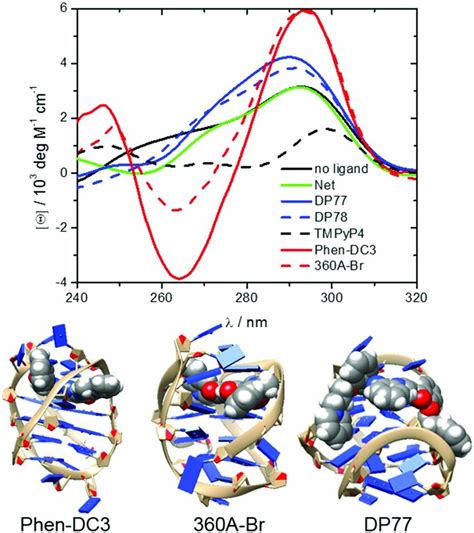 Cd Spectra Of Fully Bound G Quadruplexes At C And In The Presence