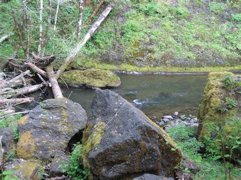 Nestucca River Natural Atlas