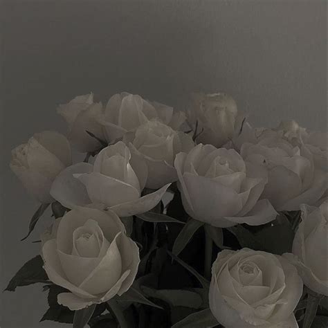 White roses aesthetic dark – Artofit