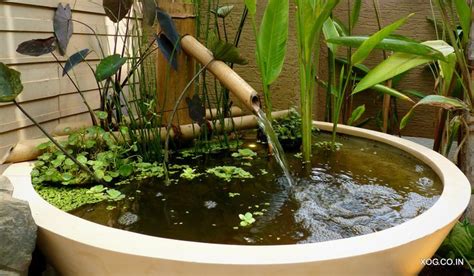 Pin by Xanadu Organic Gardens on Water Features | Bamboo fountain ...