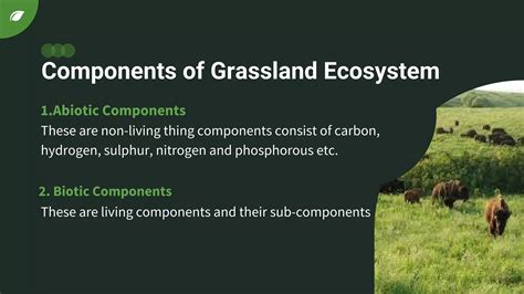 Grassland ecosystem.pdf