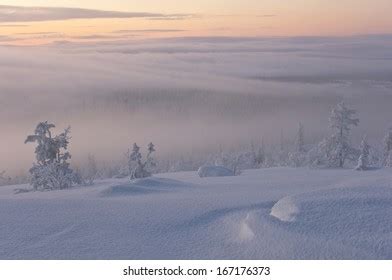 Muddus National Park Laponia Lapland Sweden Stock Photo (Edit Now ...