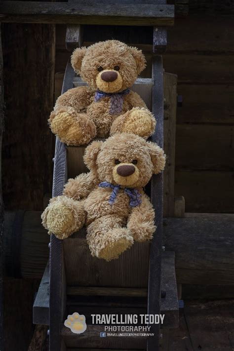 Pin von Steffi Degenhardt auf Bärenbrüder Teddy bilder Teddybären