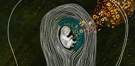 What the placenta could reveal about autism | The Transmitter ...