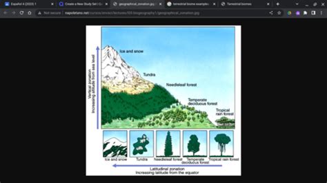 APES Unit 1 Exam Flashcards Quizlet