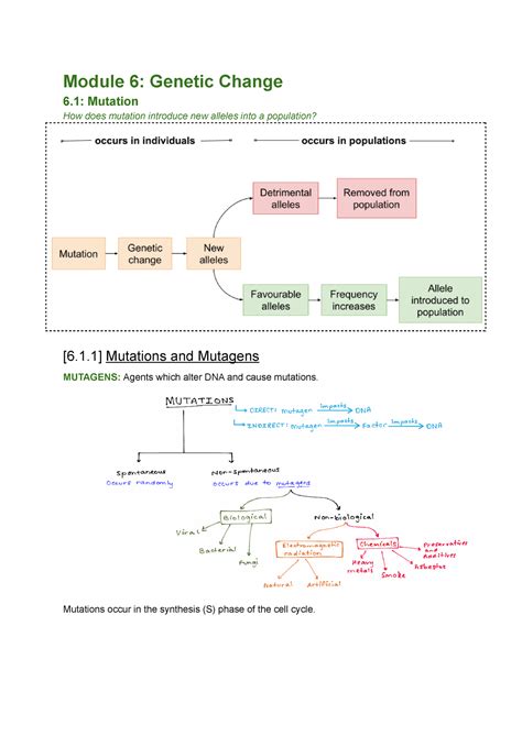 Mod 6 Genetic Change Module 6 Genetic Change 6 Mutation How Does