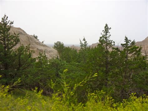 One Boy and a Camera: Plants and Animals of the Badlands National Park