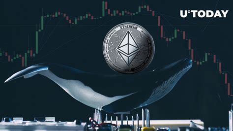 Ethereum ETH Drops 5 Mysterious Whale Shows Very Strange Behavior