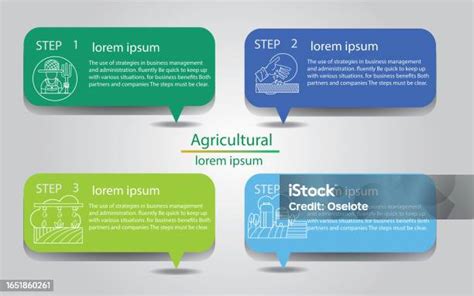 Business Template Graphic Templates Infographic Design Layouts Functional Design Diagrams