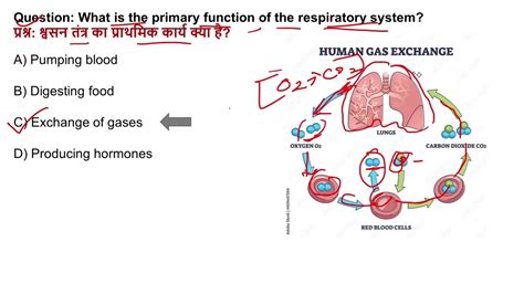 Biology MCQ Neet Biology MCQ For Competitive Exams Lucent GK Book