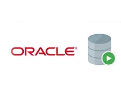 Oracle Sql Developer Logo