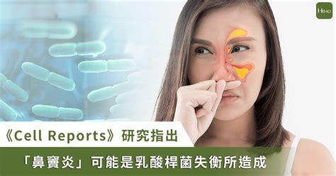 鼻竇炎總是治不好！國際研究找出潛在原因：鼻腔缺乏這種益生菌 Heho健康 Line Today