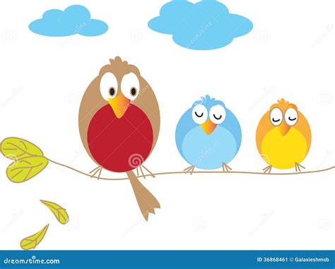 Three Birds Stock Vector Illustration Of Owls Animals 36868461