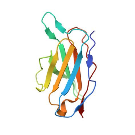 Rcsb Pdb Jn Cryo Em Structure Of Dengue Virus Serotype Strain