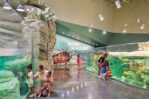 Sobela Aquarium at the Kansas City Zoo & Aquarium by EHDD - Architizer