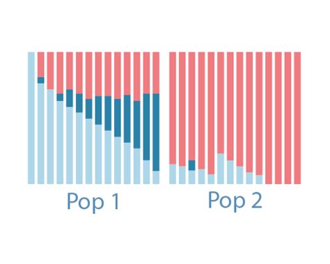 Population Structure Analysis