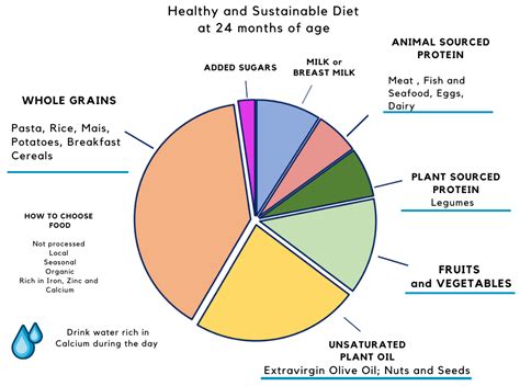 Nutrients Free Full Text Towards A More Sustainable Nutrition