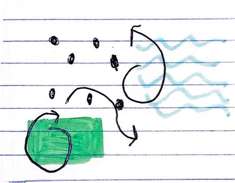 phosphorus cycle Diagram | Quizlet