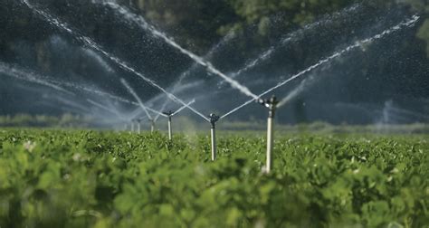 Improving Efficiency Advancements In Irrigation Methods And Practices